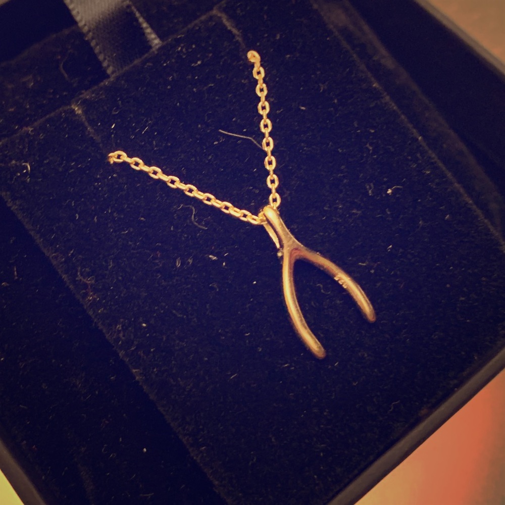 wishbone necklace SHASHI